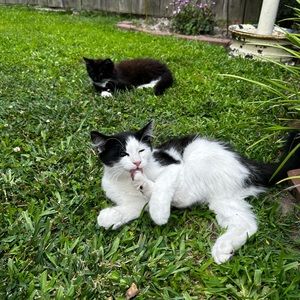 Meet your Posher, Allison